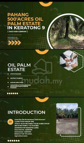 500-acre oil palm estate|Segamat-Keratong Pahang|Nonbumi Lot 1