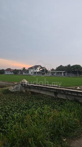 Lot Banglo View sawah padi, Empangan 25 Duyong, tepi Kg.Hang Tuah 1