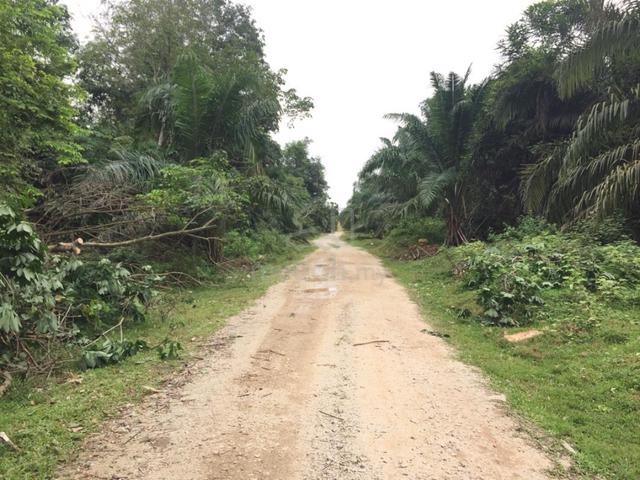Freehold Agriculture Land For Sale At Meru,Selangor 1