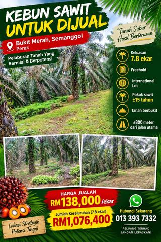 7.8 Ekar International Lot Kebun Sawit Bukit Merah Semanggol Perak 1