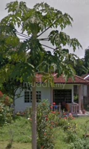 Rumah beserta tanah untuk disewa  1