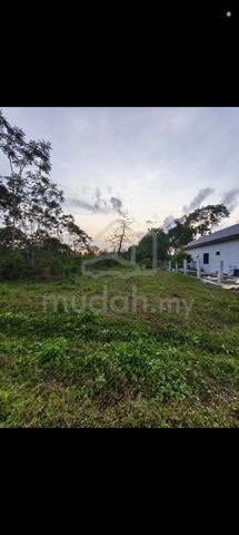 LOT Banglo KG PANDAN 1 1