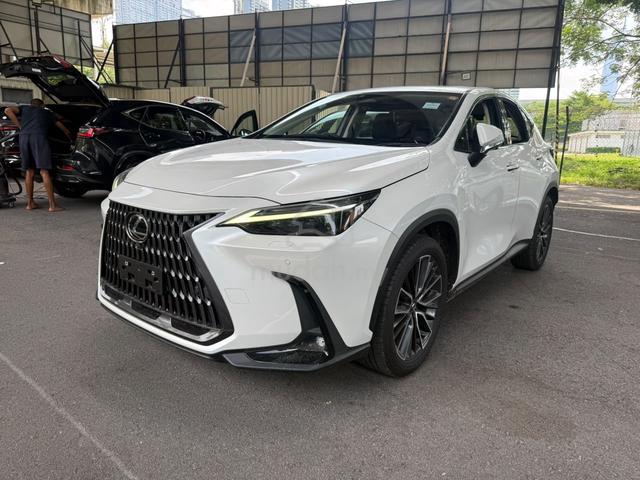 2023 Lexus NX250 VL Sunroof HUD Bsm 360 Cam - 1