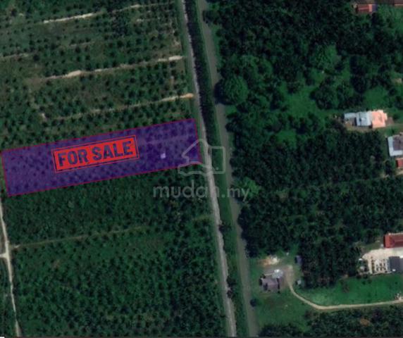 Tanah Pertanian 2.11 Ekar Kg Tambak Jawa Jeram berdekatan Pantai Remis 1