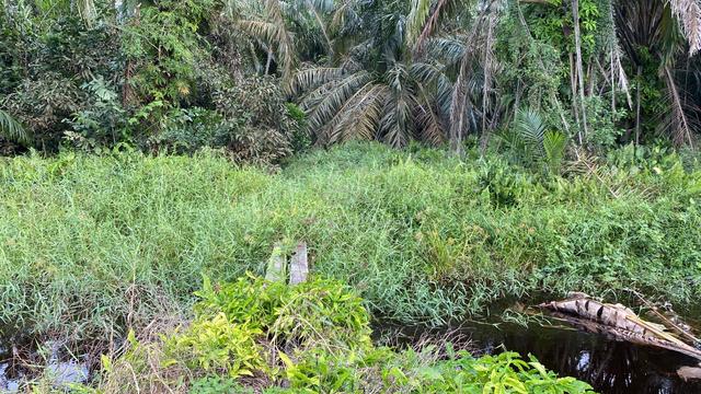 Land near Sedenak Data Centre 1