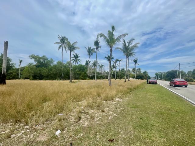 Tanah Pertanian FREEHOLD Tepi Jalan Utama Cherok Paloh, Kuantan 1