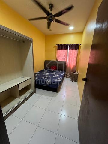 Room rent at taman scientex 1