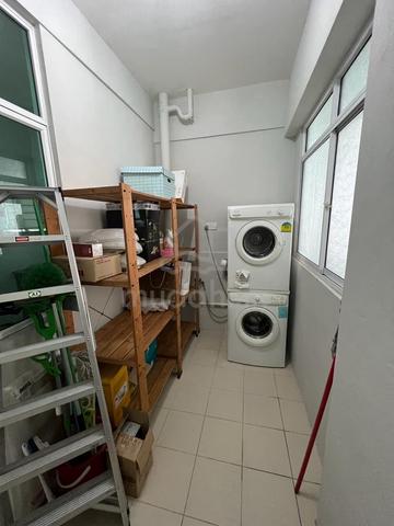 The Oasis 3