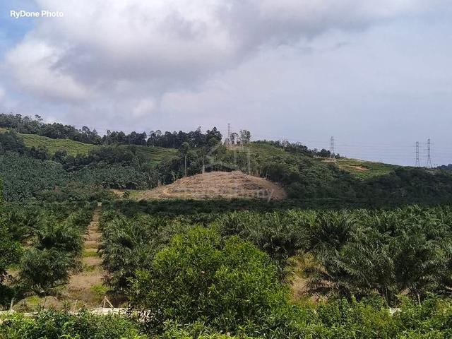 Tanah 6 ekar Sebelum Naik Highway LPT (exit KERTEH) untuk dijual 2