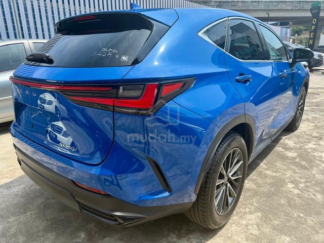 2023 Lexus NX250 2.5 (A) 4cam 1 led - 2