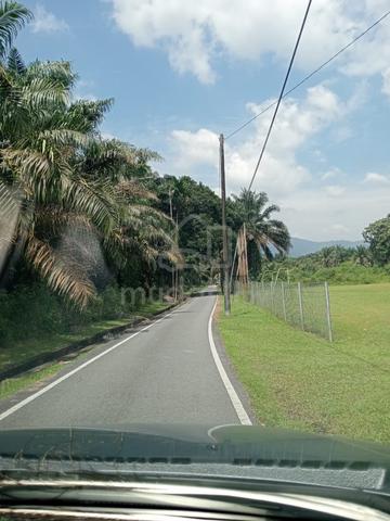 Investment Opportunity Land in Kampung Seri Paya Sale Kulai Johor 3