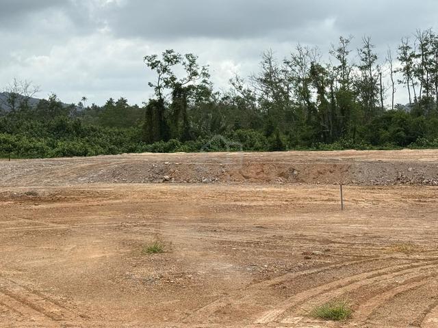 Tanah Lot Untuk Dijual Kijal Kemaman 4