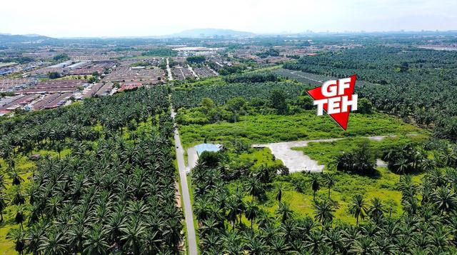 3.92 acre Residential Land | Simpang Ampat | Tar Road access | Penang 1