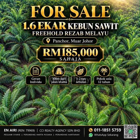 1.6 EKAR FREEHOLD REZAB MELAYU | KEBUN SAWIT 12 TAHUN | Pachor Pagoh 1