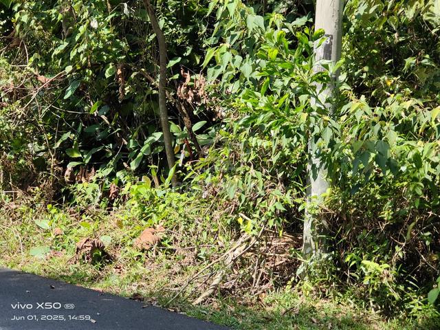 Residential Land at Bandar Springhill, Port Dickson, N9 5