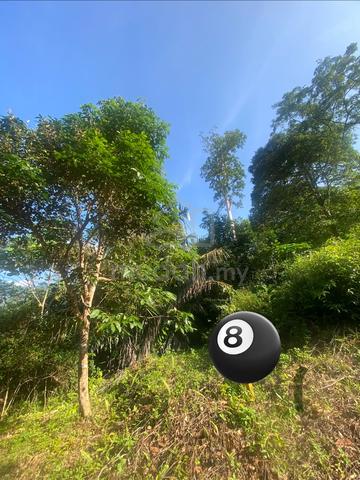Tanah Durian Batu Kurau Hendak DiJual 1