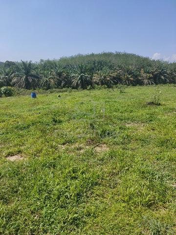 4 Relong / Area Kulim / Jual Murah !! 1