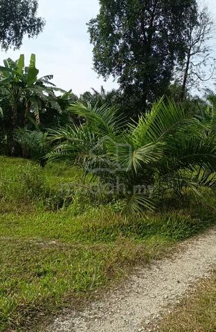 Tanah Lot Tepi Jalan Untuk Dijual Di Setiu 1