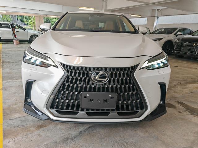2023 Lexus NX 250 2.5 Version L, Brown Interior - 3