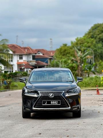 2018 Lexus NX 300 2.0 PREMIUM (A) Good Condition - 2