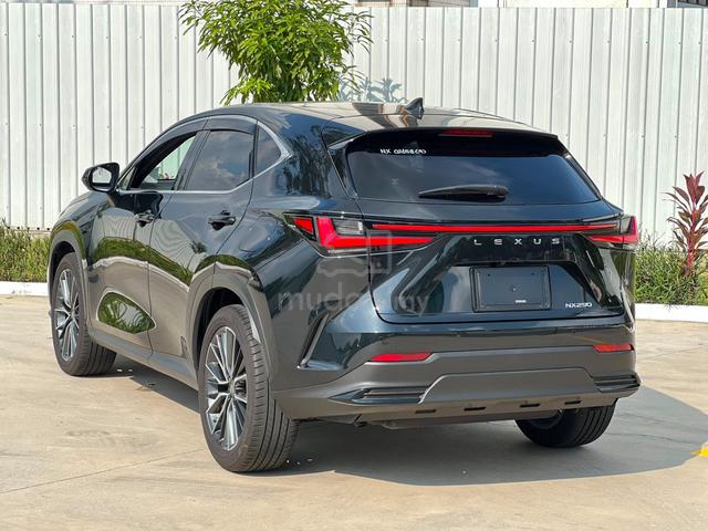 2023 Lexus NX 250 2.5 VERSION L (A) GRADE 4.5B|12K - 2