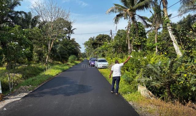 Pekan Nenas 2acres land road side 1
