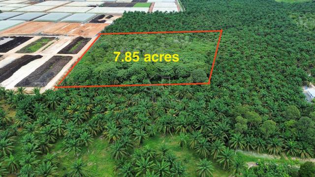 Land Machap | 7.85 Acres | Non Bumi Lot 1