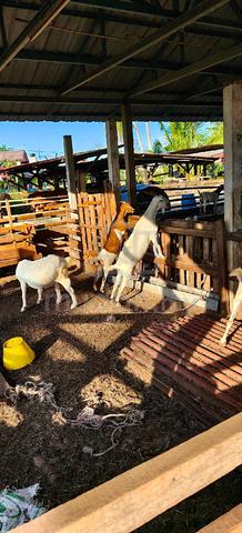 Carousel Image Selected