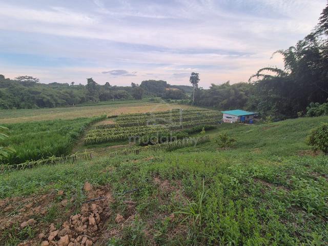 CL land, Keningau 1