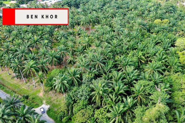 3.83 acres | Agricultural Land | Sungai bakap |Sungai Jawi| PENANG 1