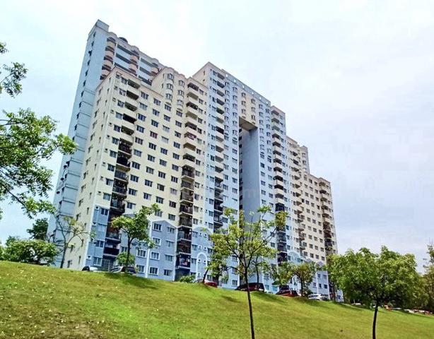 Desaminium Rimba 1