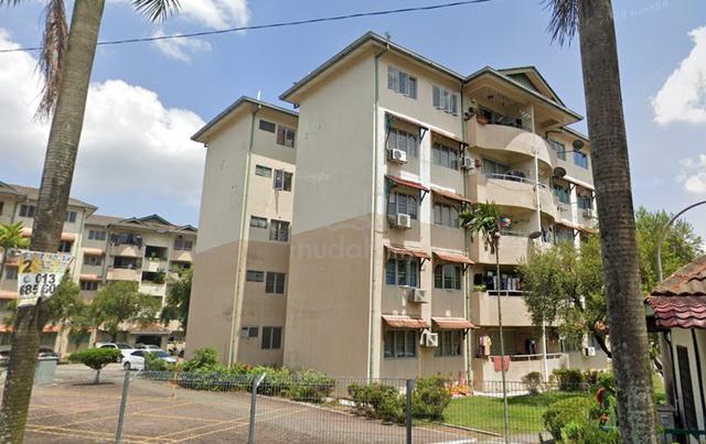 Palm Terrace 1