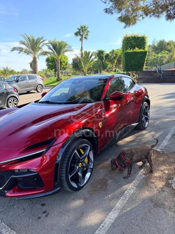 2024 Ferrari PUROSANGUE 6.5 (A) - 4