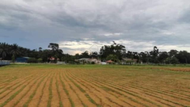 Agriculture land zoning Residential Bandar sri sendayan 2