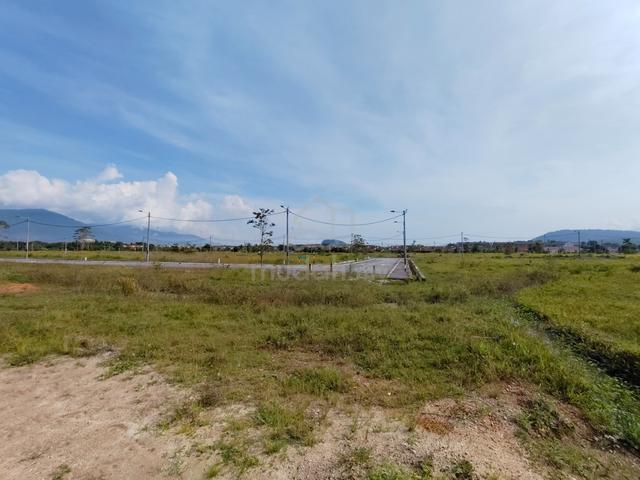 Land for Rent 2