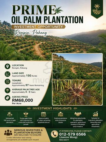 Prime Oil Palm Plantation Investment Opportunity @ Rompin, Pahang 1