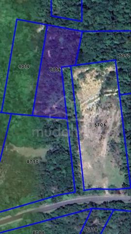 1.15 Ekar Tanah Kediaman Lelong Bukit Saring Marang 1