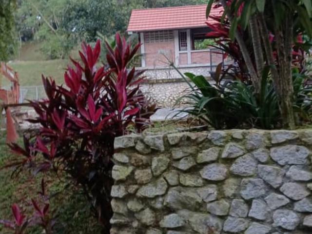 [ Dekat Villa ] Tanah Pertanian Sungai Samak , Rimba Templer , Rawang 1