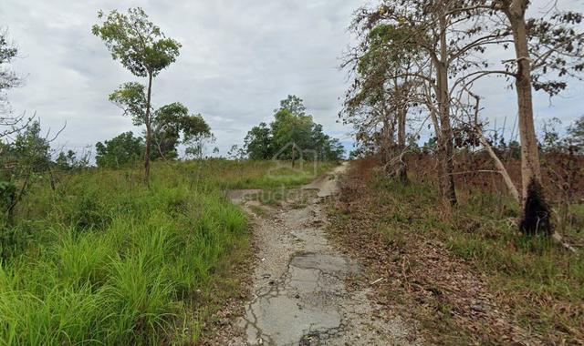 Homestead / Agricultural Land Lembah Beringin, Kuala Kubu Baru 1