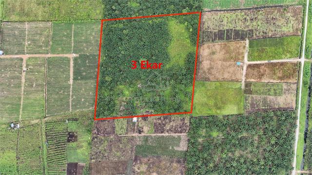 3 EKAR : TANAH PERTANIAN AYER BALOI (Tanaman Sawit) 1