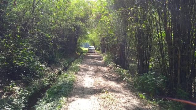 Tanah Di Ulu Dingin, Mahang 1