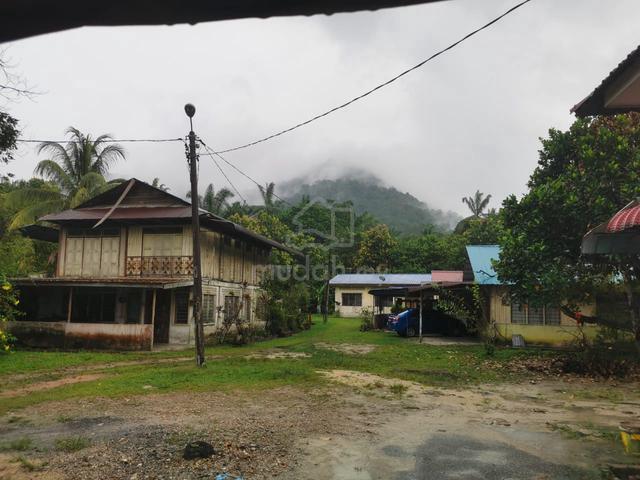 |International Lot|Sale Land 1.784 hektar Semanggol 1