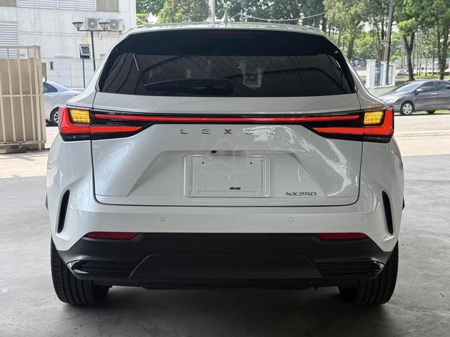 2023 Lexus NX 250 2.5 VER.L LTR SEAT 4CAM 26K KM - 4