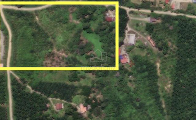 CL Seguntur Land Industrial 11.8 acres 1