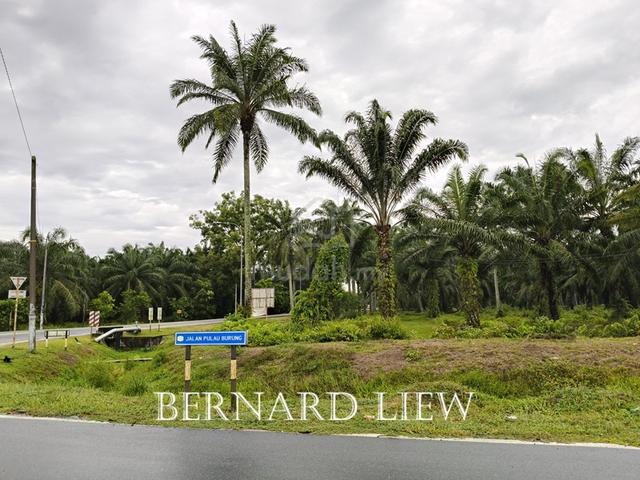RM100psf 43.9ac & 54.8ac Changkat Roadside Industrial Land FOR SALE 1