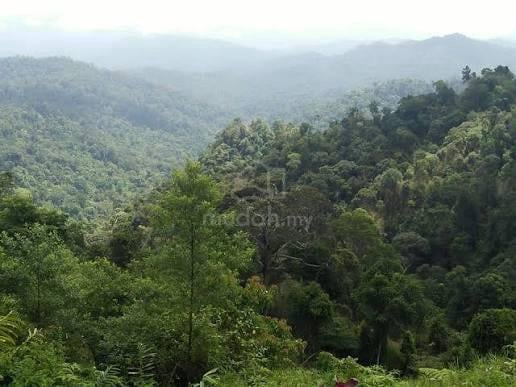 (Cash Buyer Only) 3 acres Forest Land 10min to Genting Highland 1
