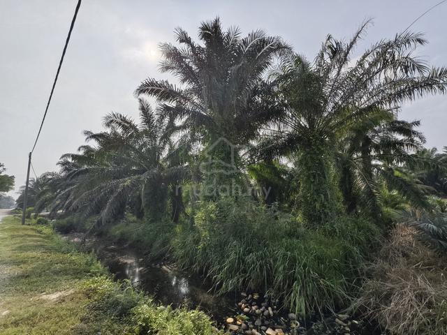 MAIN ROAD 6 acres Industrial Land Bukit Changgang Near KLIA 1