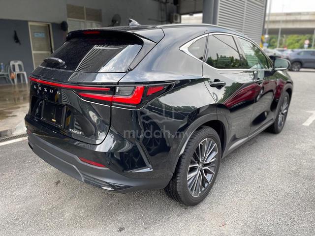 Lexus NX 250 2.5 LUXURY FREE 5 Year Wrty Now 223k - 3