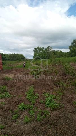 Tanah NT untuk di jual 1