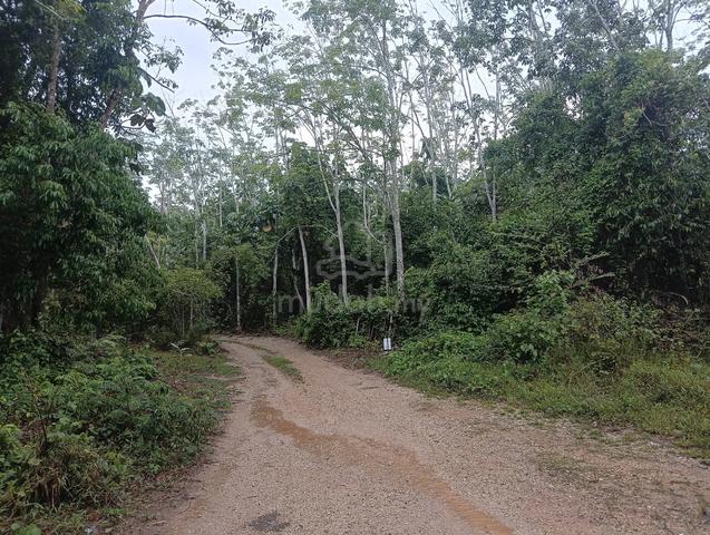 MURAH & LUAS Tanah Kebun Getah, REMBAU NEGERI SEMBILAN 1